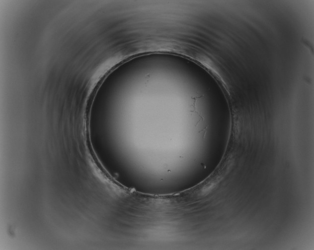 X0000101951088200807181445