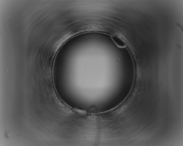 X0000101951089200807181445