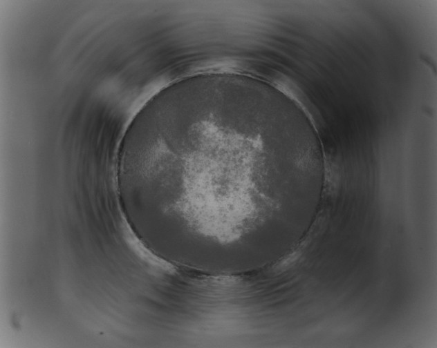 X0000101951090200807181445