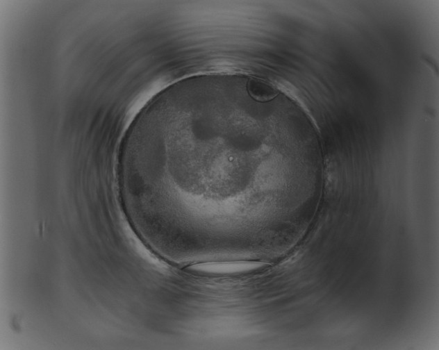 X0000101951091200807181445