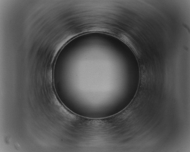 X0000101951092200807181445