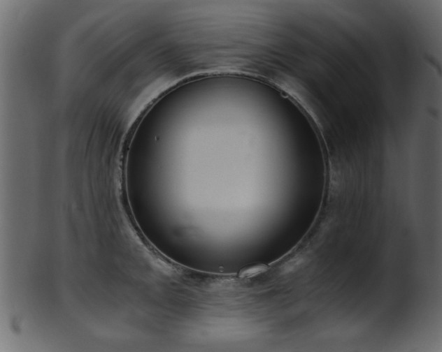 X0000101951093200807181445