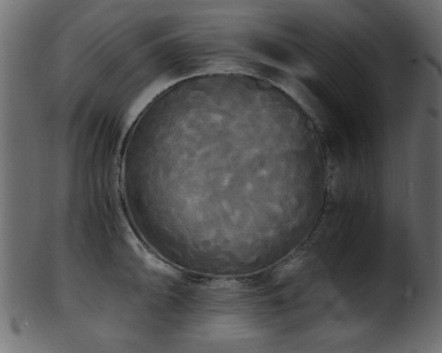 X0000101951094200807181445