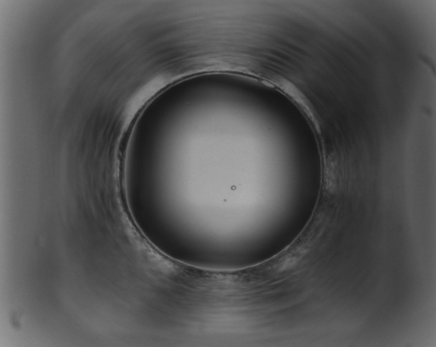 X0000101951096200807181445