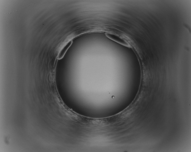 X0000101951097200807181445