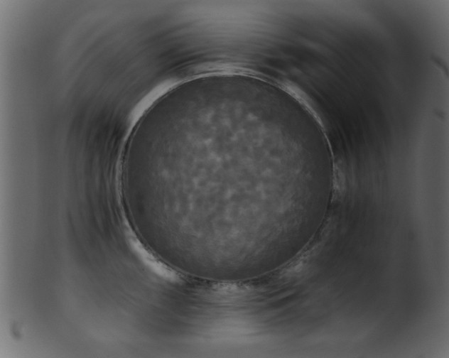 X0000101951098200807181445