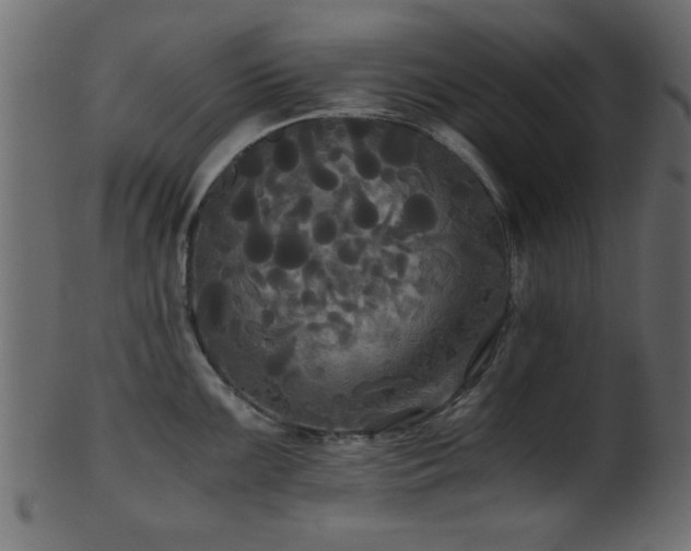 X0000101951099200807181445