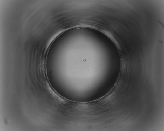 X0000101951100200807181445