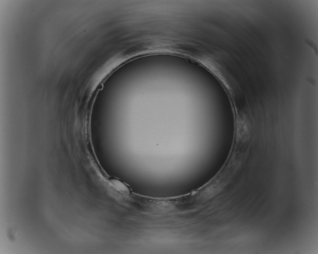 X0000101951101200807181445