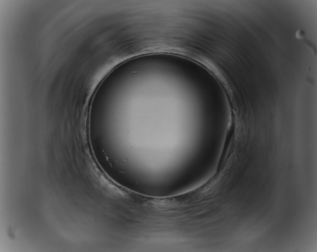 X0000101951102200807181445