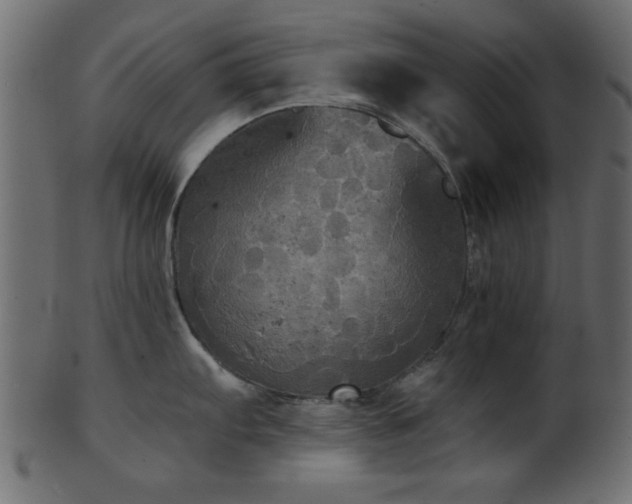 X0000101951103200807181445