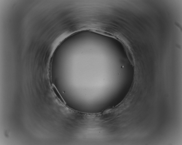 X0000101951104200807181445