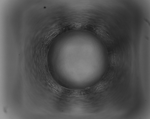 X0000101951105200807181444