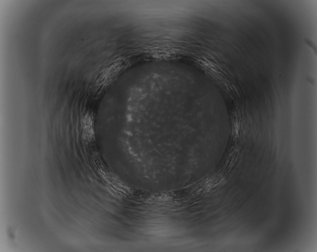 X0000101951106200807181444