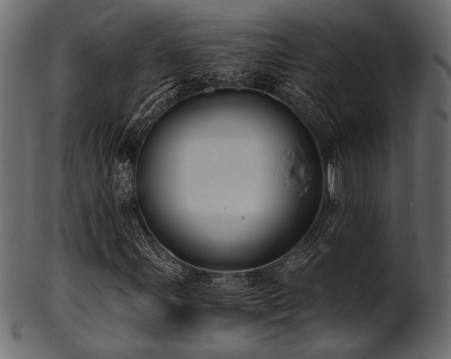 X0000101951107200807181444