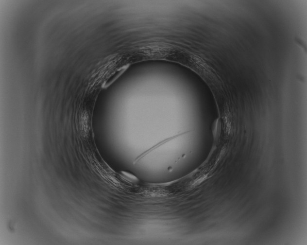 X0000101951108200807181444