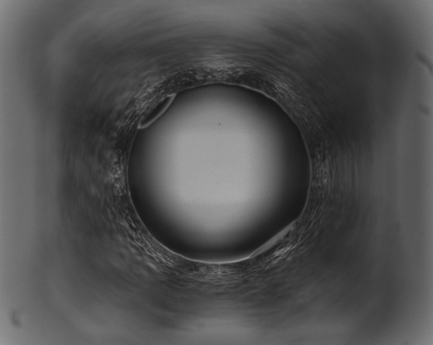 X0000101951109200807181444