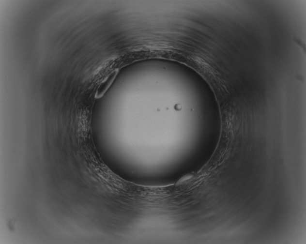 X0000101951110200807181444