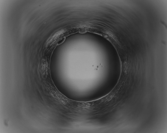 X0000101951111200807181444