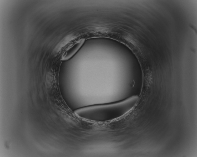 X0000101951112200807181444