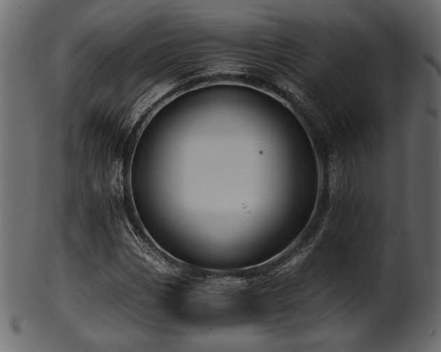 X0000101951113200807181444