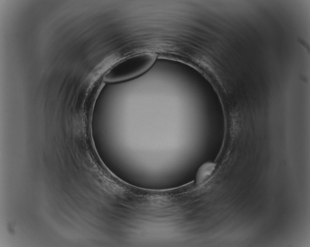 X0000101951114200807181444