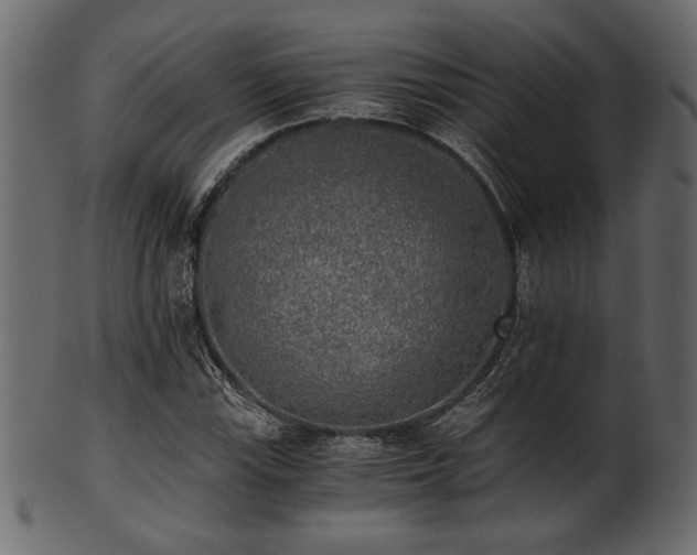 X0000101951115200807181444