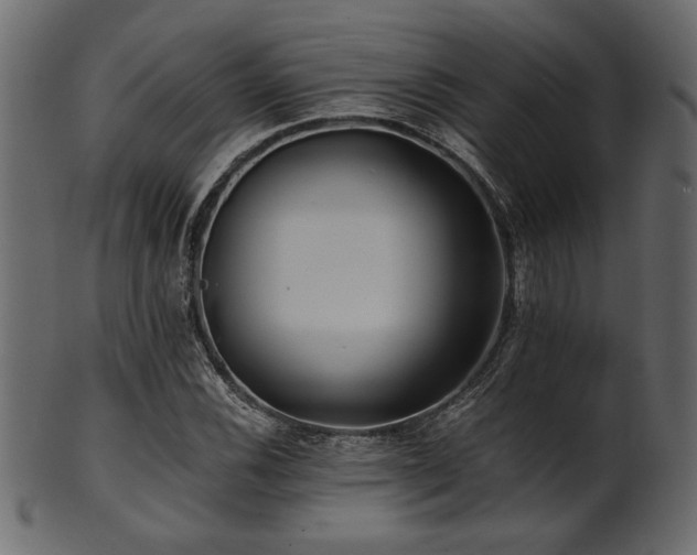 X0000101951116200807181444