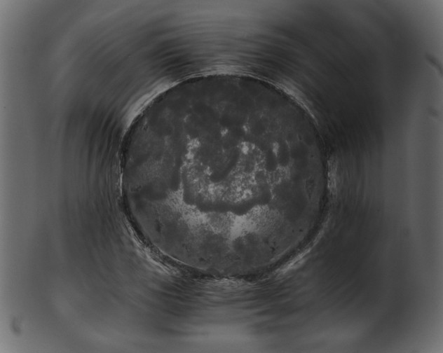 X0000101951117200807181444