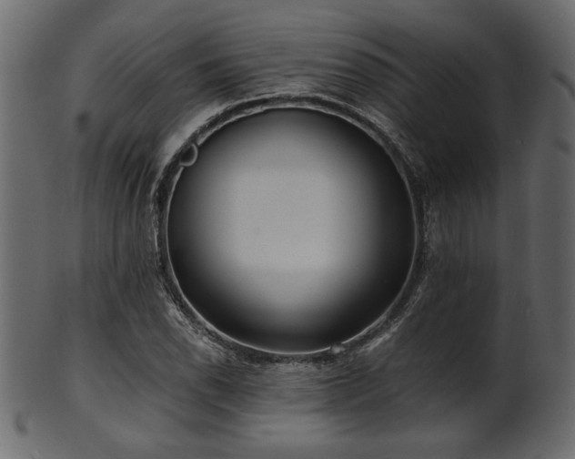 X0000101951118200807181444