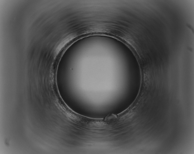 X0000101951119200807181444