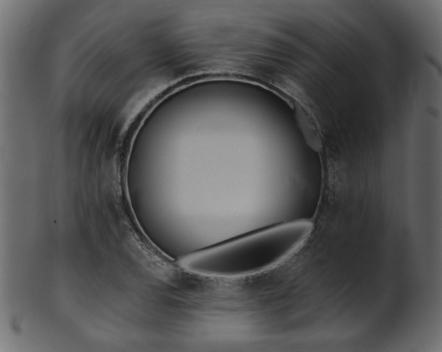 X0000101951120200807181444