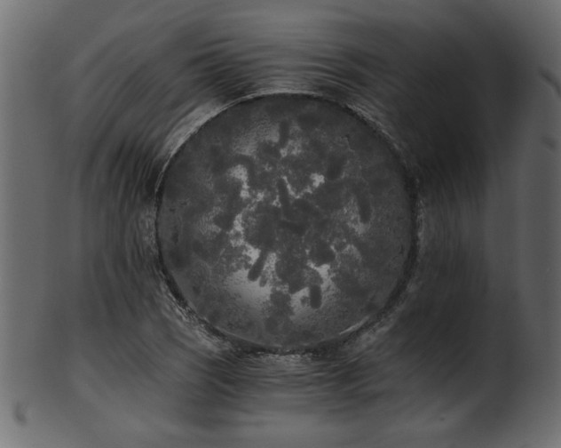 X0000101951121200807181444