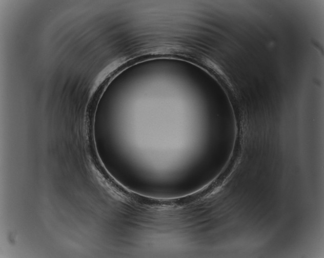 X0000101951122200807181444