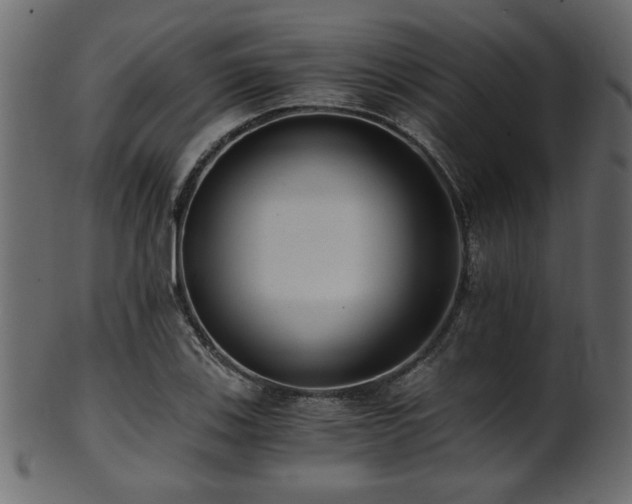 X0000101951123200807181444