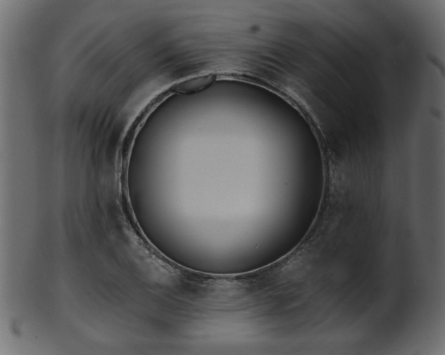 X0000101951124200807181444