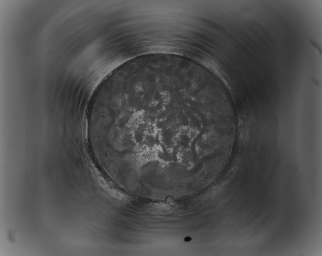 X0000101951125200807181444