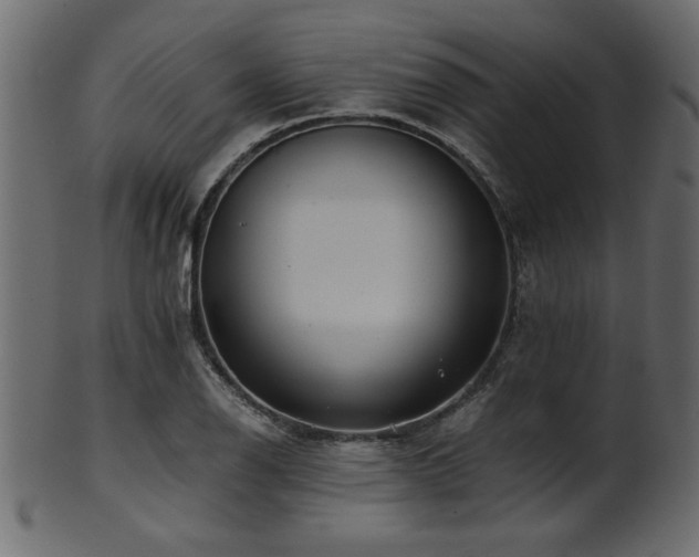 X0000101951126200807181444