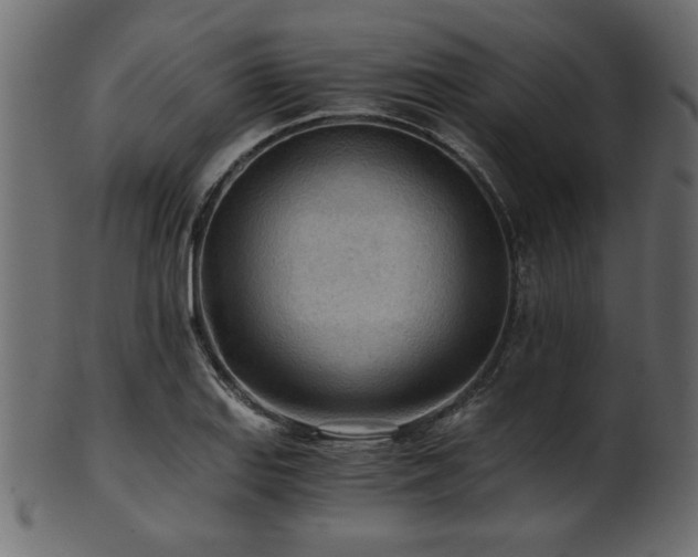 X0000101951127200807181444