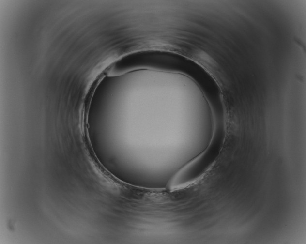 X0000101951128200807181444