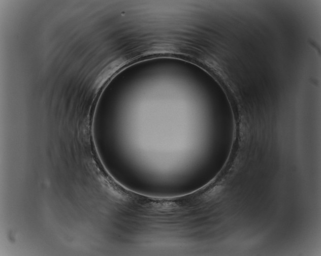 X0000101951129200807181444