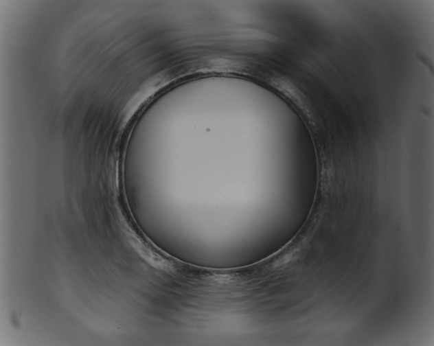 X0000101951130200807181444