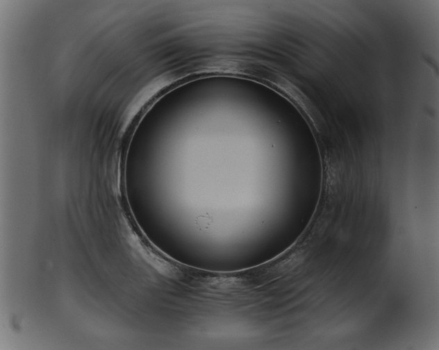 X0000101951131200807181444