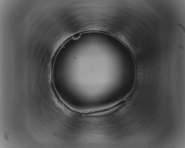 X0000101951132200807181444