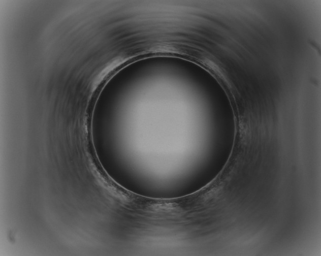 X0000101951133200807181444