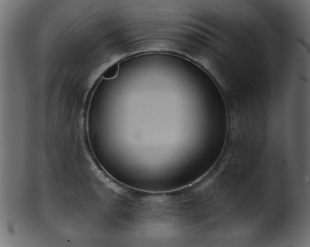 X0000101951134200807181444