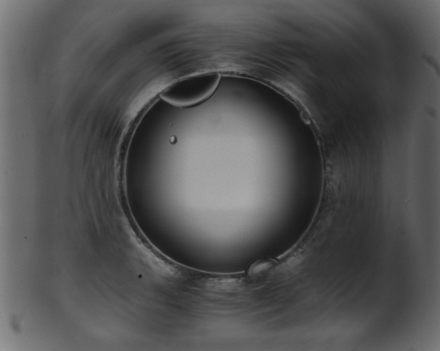 X0000101951135200807181444