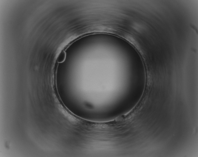 X0000101951136200807181444