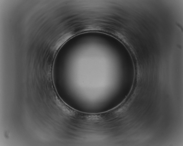 X0000101951137200807181444