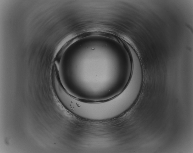 X0000101951138200807181444